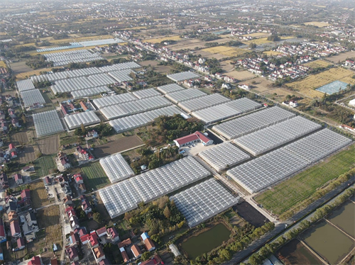 On Beşinci Beş Yıllık Plan, tesis tarımının güçlü bir şekilde gelişmesine yardımcı oldu