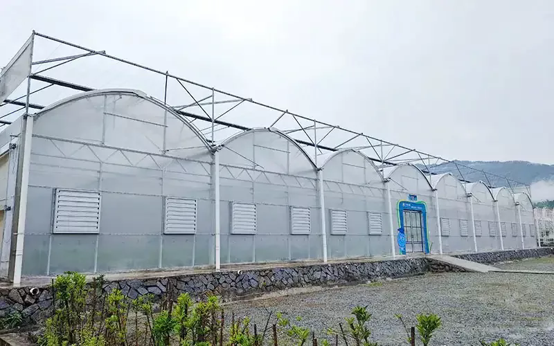Multisan plastik film serasının özellikleri nelerdir?