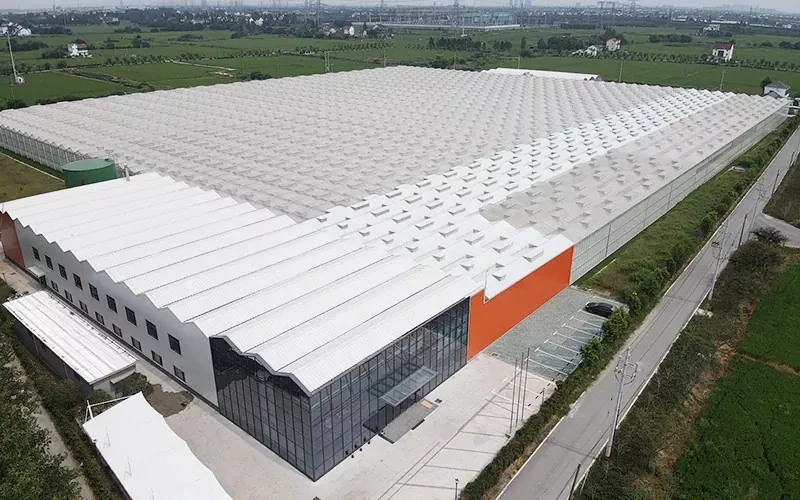 Multisan cam seranın avantajları