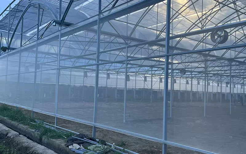 Sera böcek ağı haşere kontrolünde yeni bir eğilim taşıyor